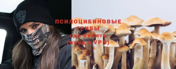 марки nbome Инта